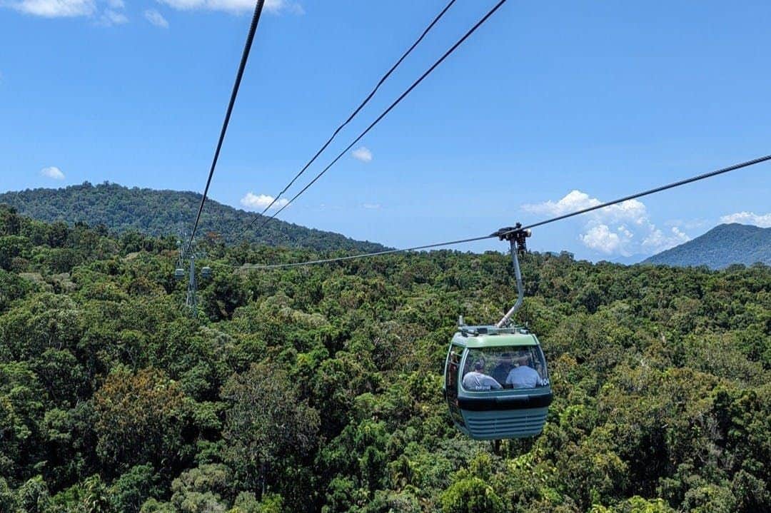 Cairns: Skyrail Rainforest Cableway Return Skyrail Rainforest Cableway Inbound