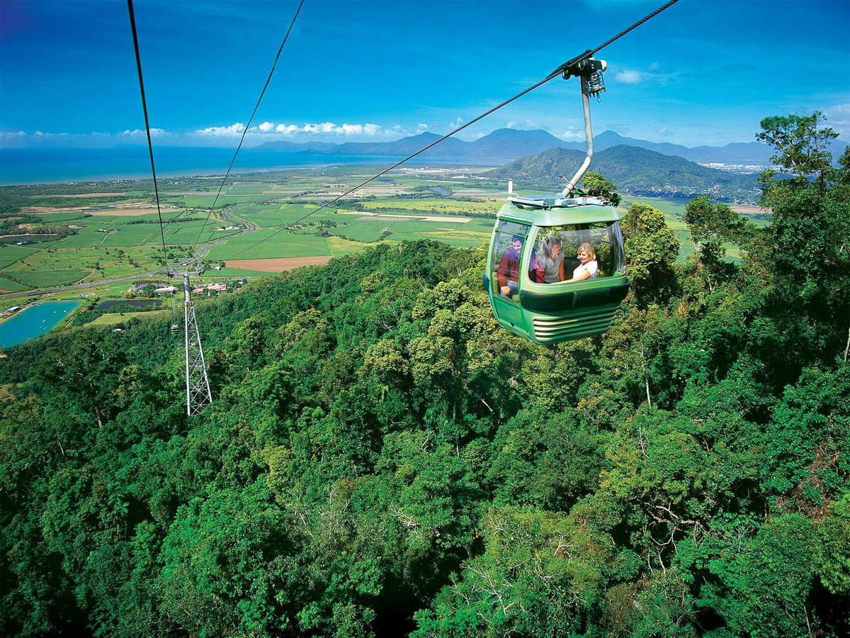 Kuranda, Scenic Rail & Skyrail: Full Day Tour from Cairns A green cable car carries people over a lush green forest with mountains and a clear blue sky in the background.