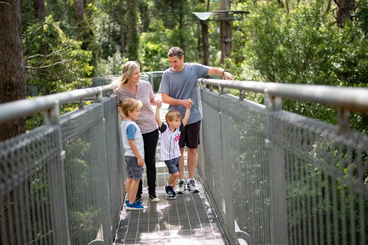 Illawarra Fly Treetop Adventures: Treetop Walk A family of four walking together on a metal bridge surrounded by lush greenery.