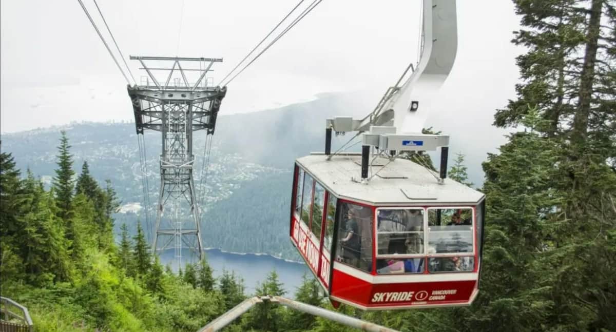 Grouse Mountain: Small Group Guided Tour + Roundtrip Transport Photo of product