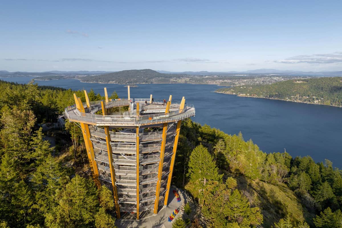 Vancouver Island: Malahat SkyWalk Entry Ticket Panoramic view of the SkyWalk at Malahat