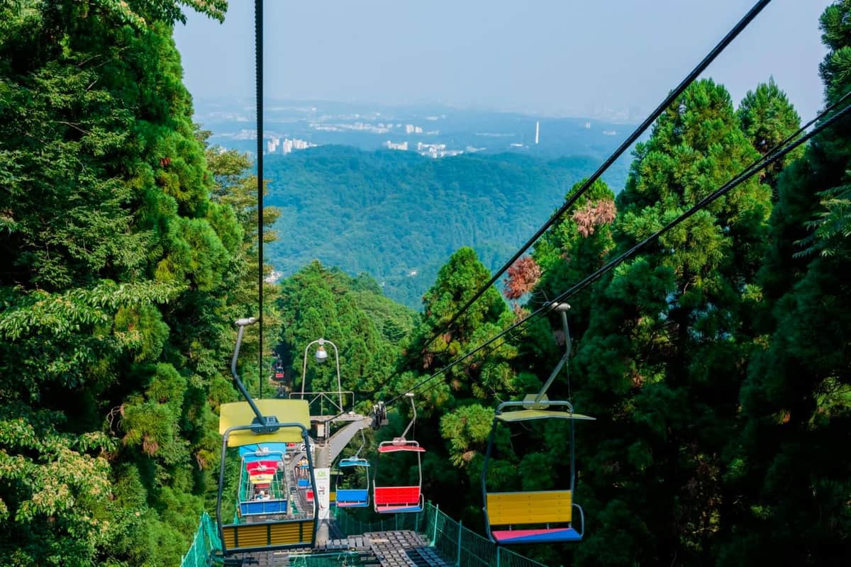 게이오산 1일 승차권 다카오 케이블카 & 의자 리프트 티켓 울창한 푸른 숲을 가로지르는 다채로운 좌석을 갖춘 체어리프트로, 저 멀리 도시가 배경으로 보입니다.