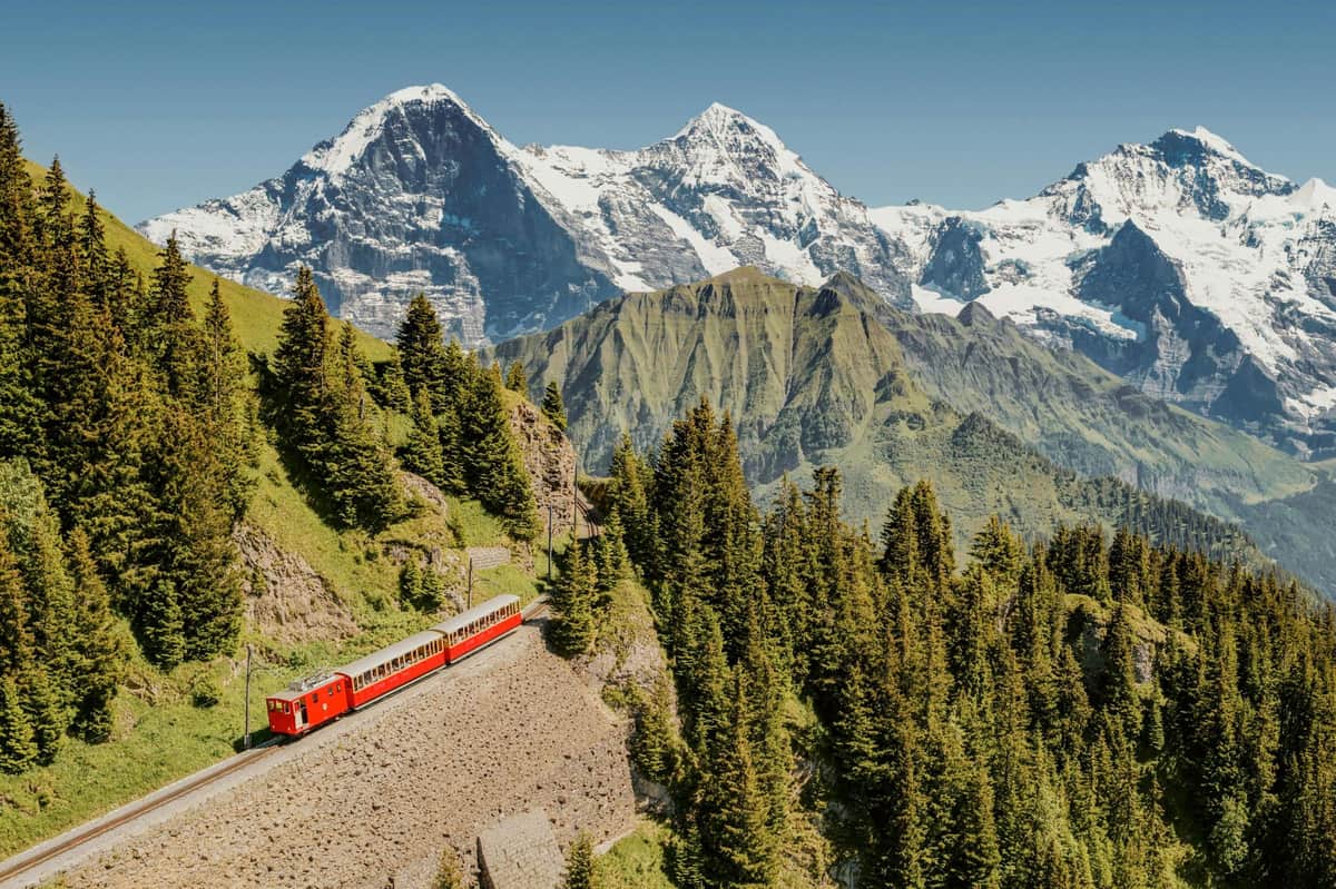 Jungfrau: Unlimited Travel Pass for 3 to 8 Days Schynige Platte
