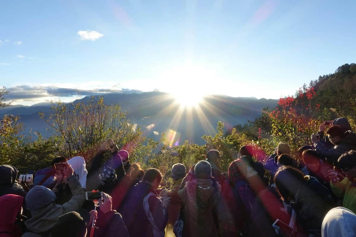 Área Recreativa Florestal Nacional de Alishan: Bilhete de entrada + Pastelaria do Nascer do Sol e Mochi de milho-miúdo Um grupo de pessoas a contemplar o nascer do sol sobre uma paisagem montanhosa, com árvores e vegetação em primeiro plano.