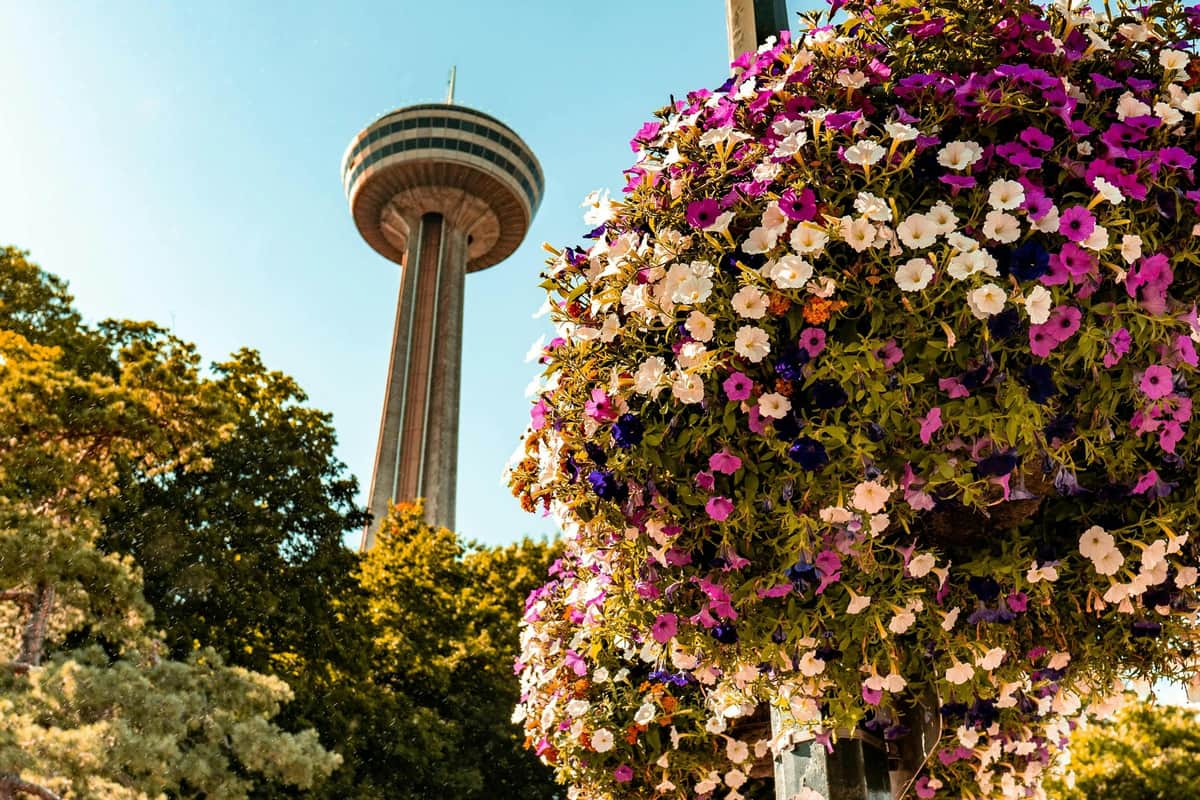Niagara Falls: Guided Tour with Boat Cruise, Cave of the Winds & Skylon Tower Tall observation tower with a disc-shaped top set against a clear sky, with colorful flowers in the foreground and trees below.