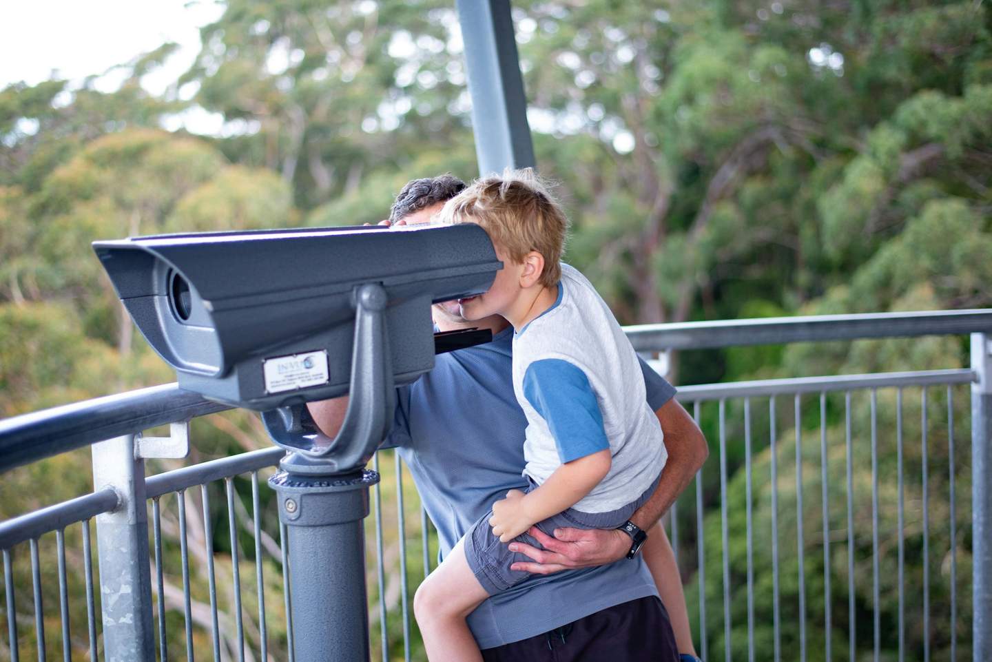 An adult is holding a child up to a public binocular viewer on an outdoor viewing platform surrounded by trees.