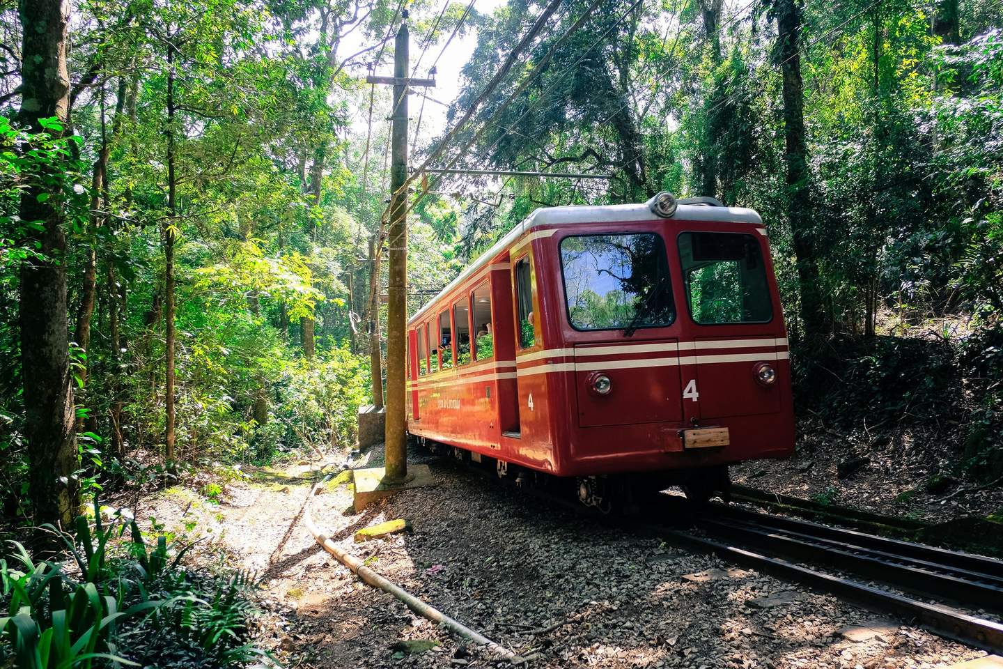 Corcovado Train A red tram travels through a lush, green forest on a narrow track, with overhead power lines visible.