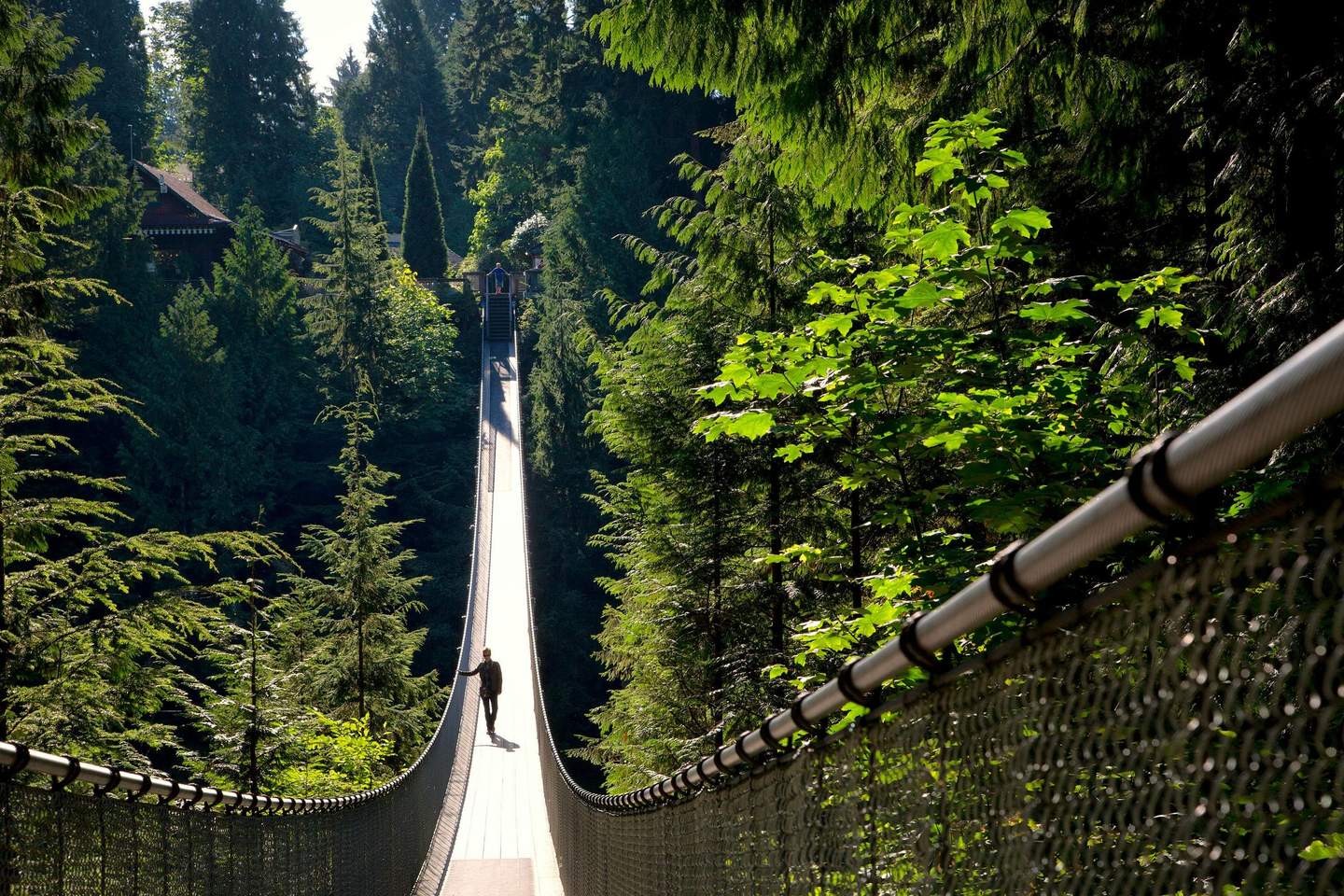 Capilano Suspension Bridge Park A person walks alone on a long suspended bridge surrounded by dense forest and greenery.
