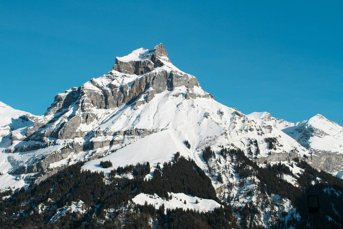Mount Titlis Snow-covered mountain peak under a clear blue sky with a forested area at the base.