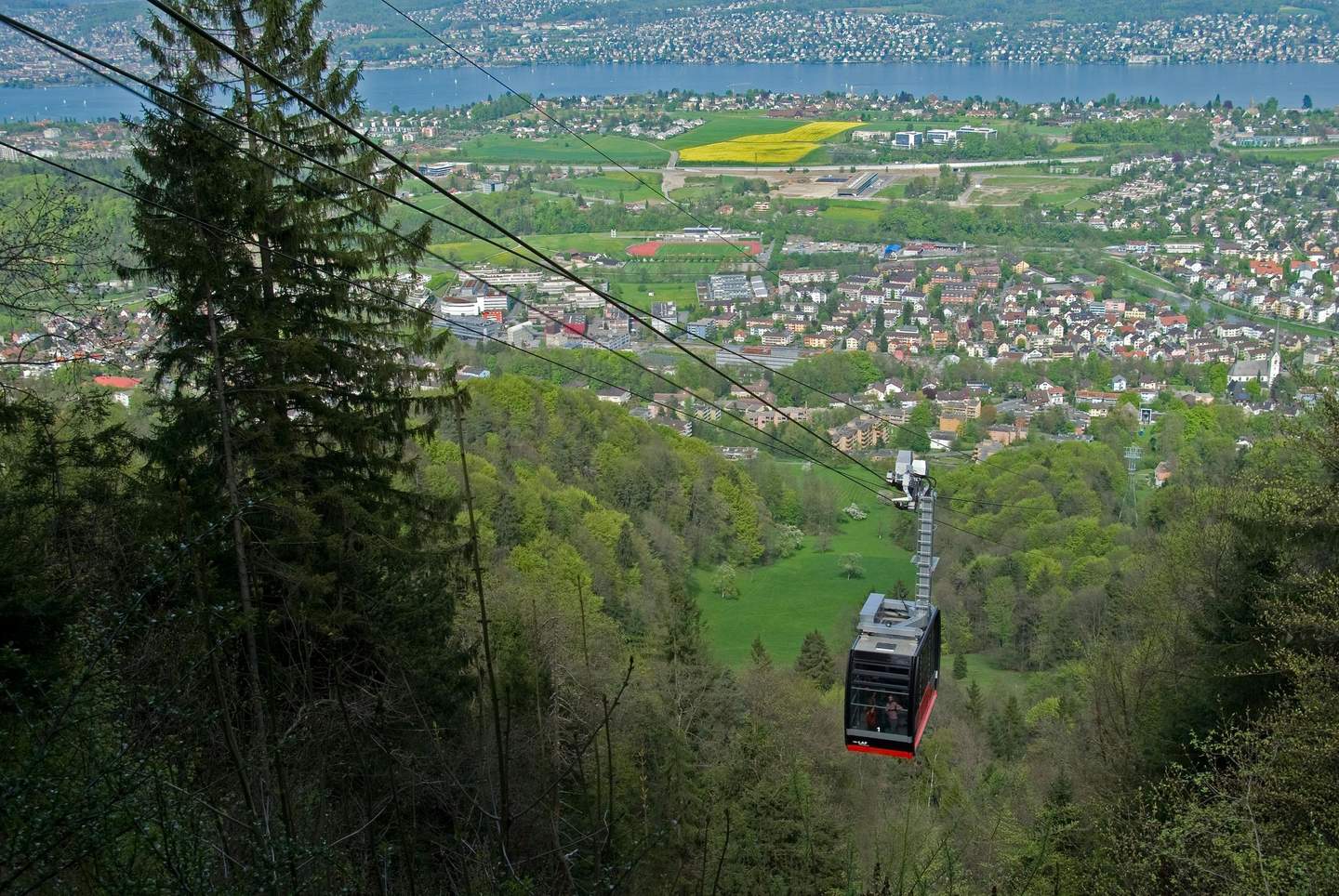 Felsenegg A cable car travels over lush green hills heading toward a distant town with a body of water in the background.