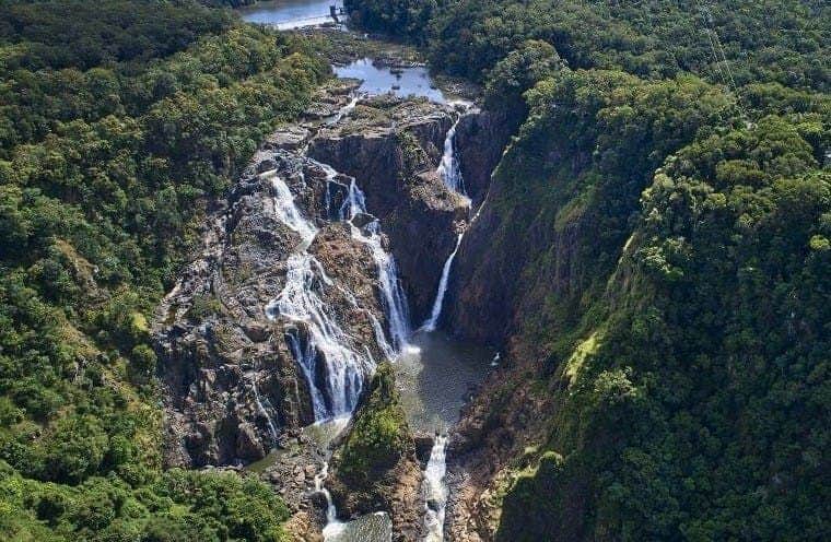 Barron Falls & Cattana Wetlands: from Cairns + Cableway or Scenic Railway Ride