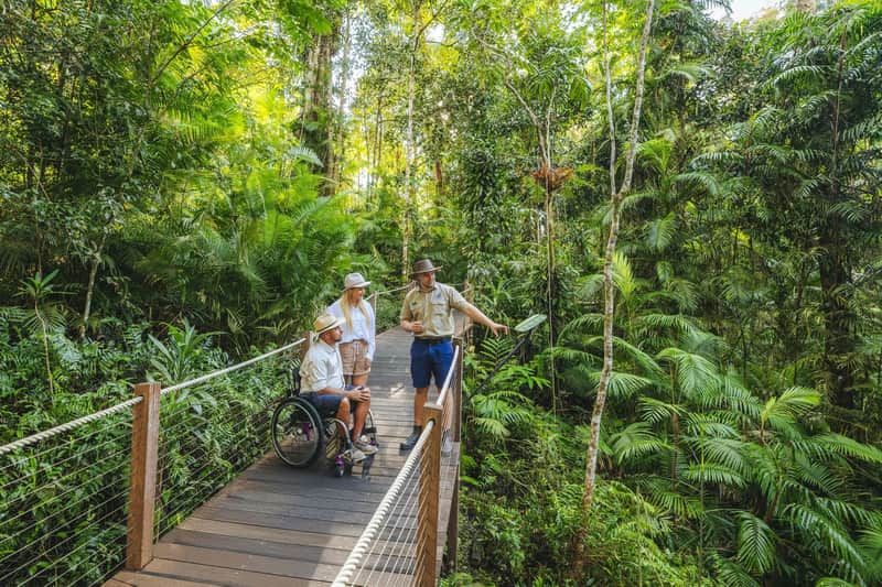 Kolejka linowa Skyrail Rainforest: bilet wstępu