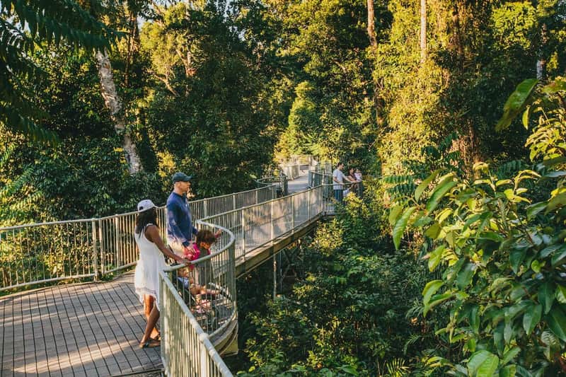 Mamu Tropical Skywalk: Entry Ticket