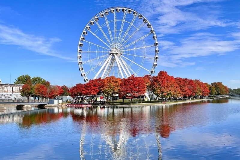 The Best of Montreal Tour with Boat Cruise