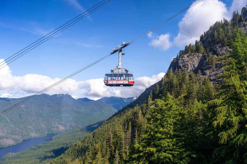 Grouse Mountain: Summer Entry Ticket + Free Downtown Shuttle