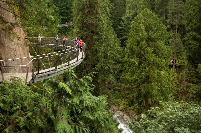 Vancouver: Guided Tour with Capilano Park Entry + Lunch at Grouse Mountain