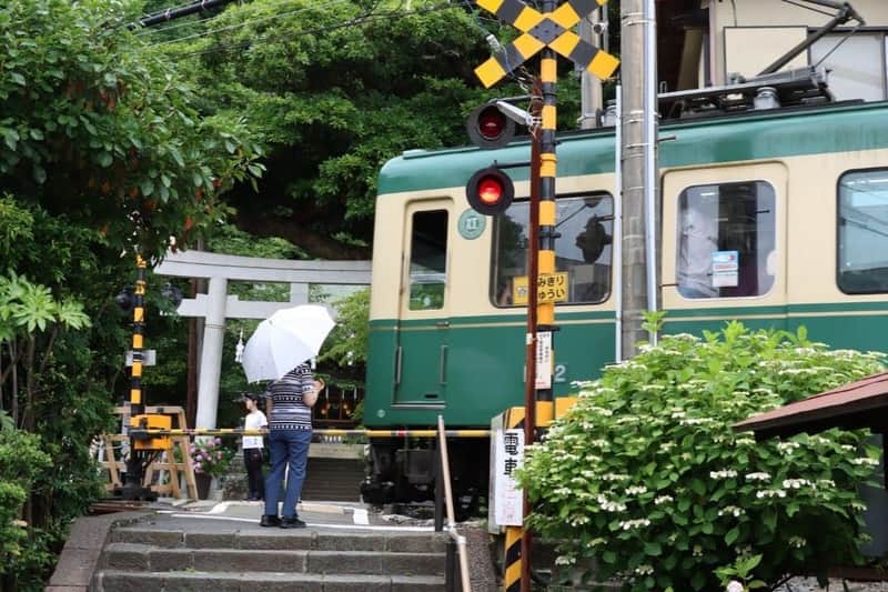 Hakone, Fuji-Hakone & Hakone-Kamakura: Transport Pass