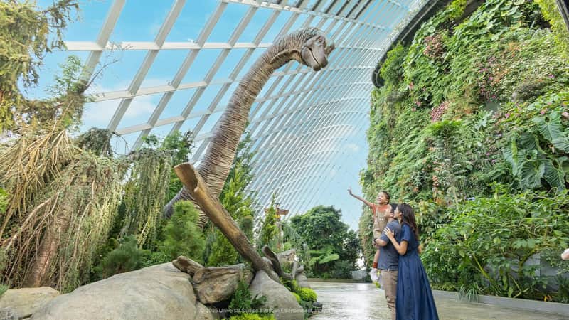 Gardens by the Bay: Supertree Observatory Entry