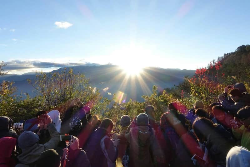 Área Recreativa Florestal Nacional de Alishan: Bilhete de entrada + Pastelaria do Nascer do Sol e Mochi de milho-miúdo