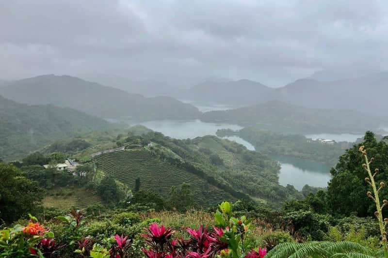 Pinglin Tea Culture & Maokong: Guided Day Tour from Taipei + Gondola Ride
