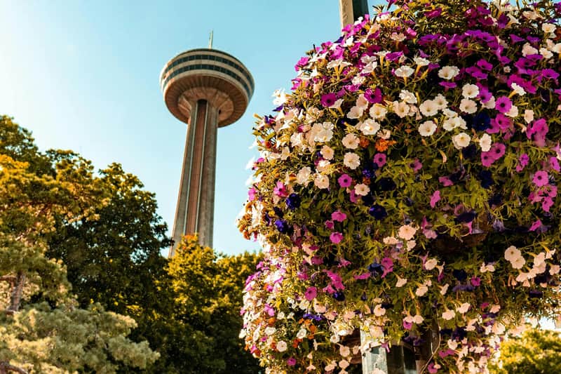 Niagara Falls: Guided Tour with Boat Cruise, Cave of the Winds & Skylon Tower