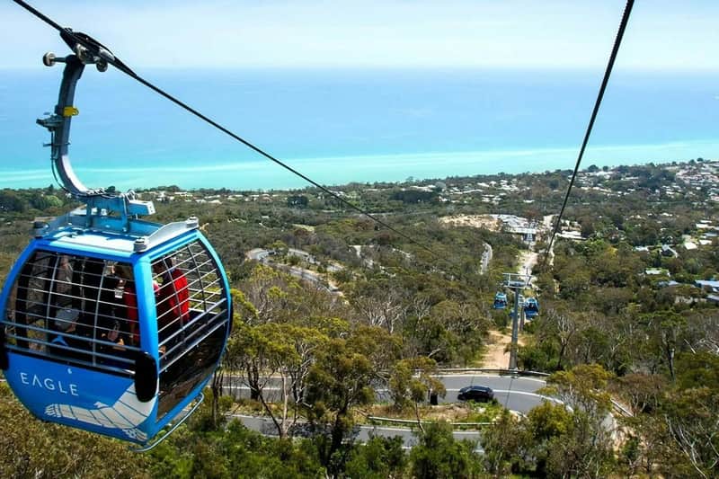 Arthurs Seat Eagle Arthurs Seat Eagle