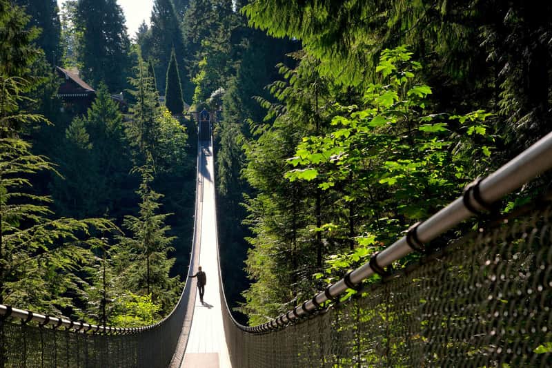 Capilano Suspension Bridge Park Capilano Suspension Bridge Park