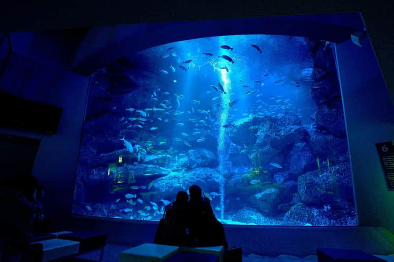 Sumida Aquarium Sumida Aquarium