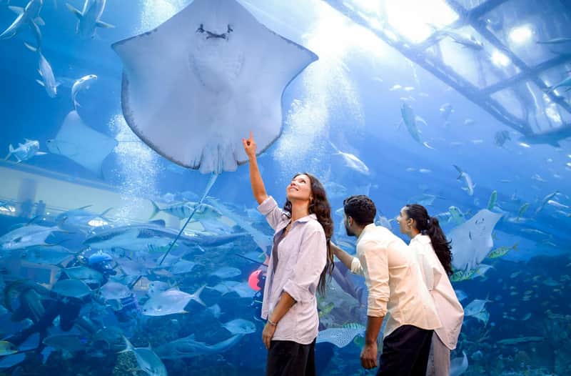 Dubai Aquarium & Underwater Zoo Dubai Aquarium & Underwater Zoo