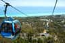 Arthurs Seat Eagle