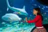 SEA LIFE Sydney Aquarium