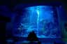 Sumida Aquarium