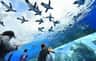 Sunshine Aquarium