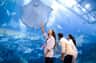 Dubai Aquarium & Underwater Zoo